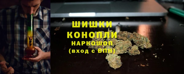 гидропоника Пересвет