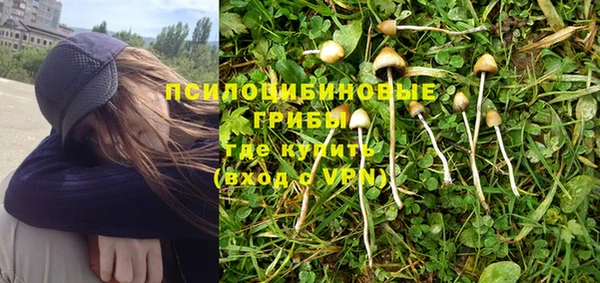 трава Пестово