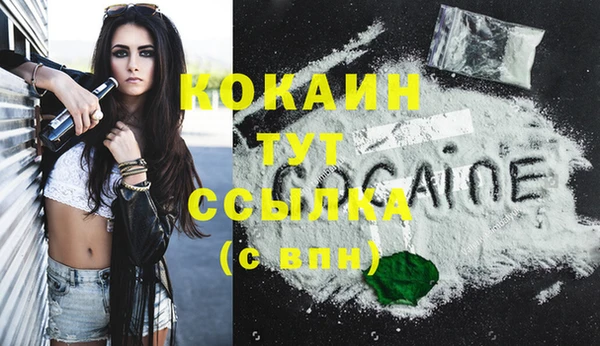 молекула духа Переславль-Залесский